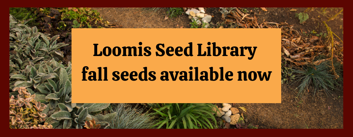 Seed Library