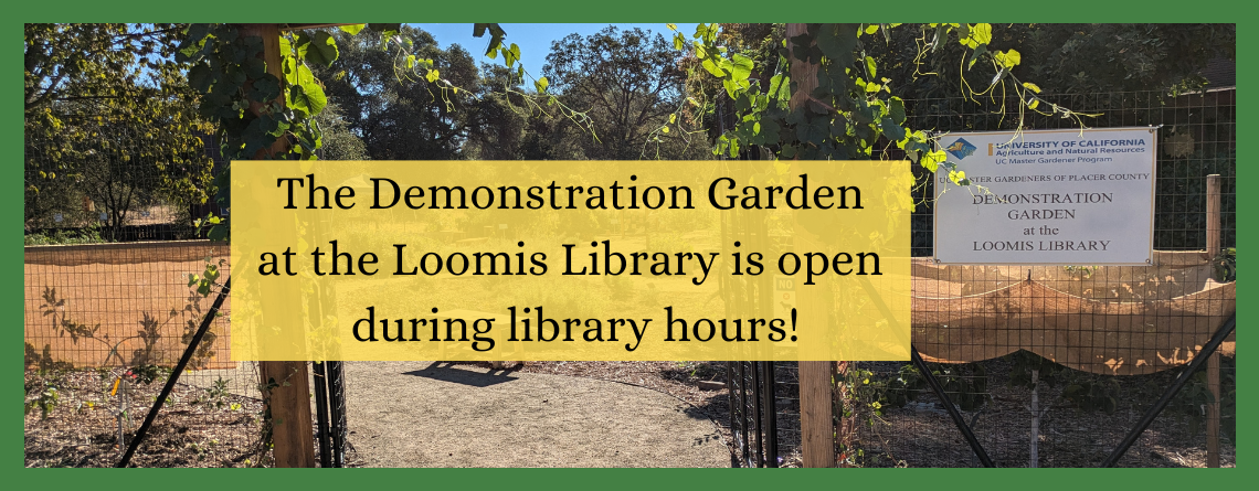 Loomis Library Demonstration Garden